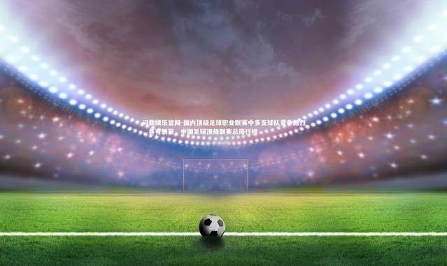问鼎娱乐官网-国内顶级足球职业联赛中多支球队竞争激烈，各有斩获，中国足球顶级联赛总排行榜