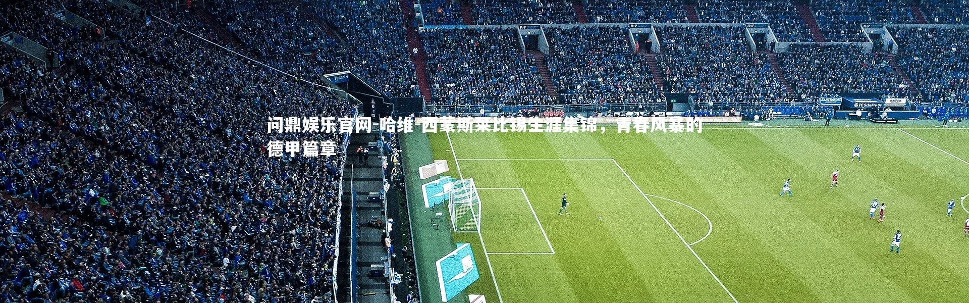 问鼎娱乐官网-哈维-西蒙斯莱比锡生涯集锦，青春风暴的德甲篇章